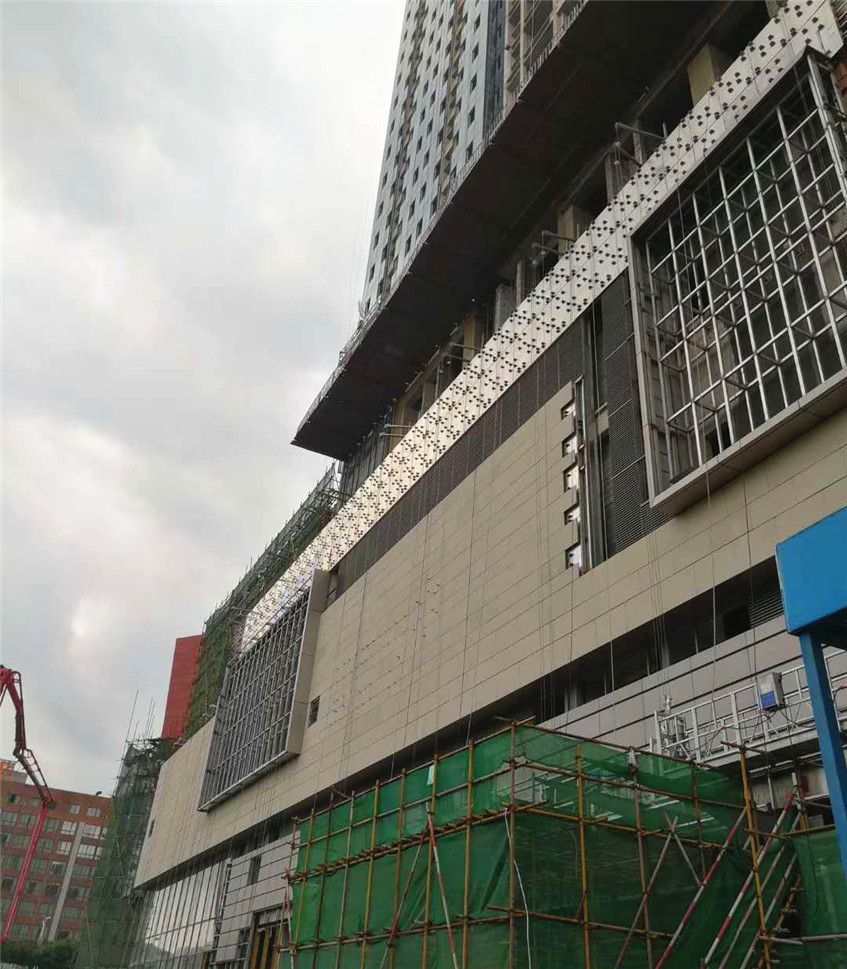 黄金麻荔枝面排版效果